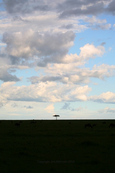 Tsavo East National Park, Kenya Tsavo East National Park, Kenya